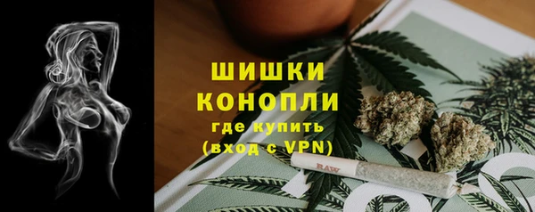 индика Покров