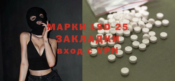 шишки Арсеньев