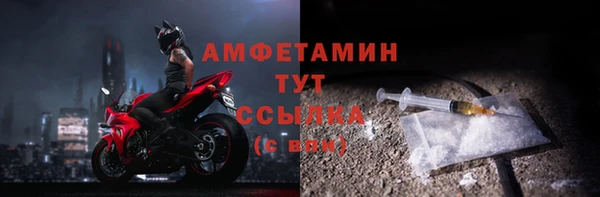 шишки Арсеньев