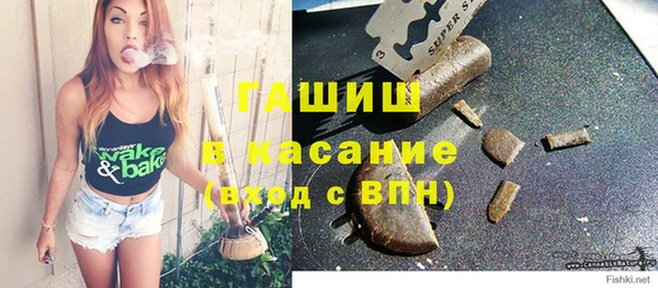 шишки Арсеньев