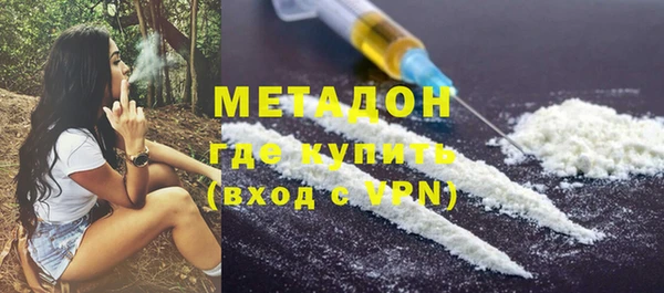 шишки Арсеньев