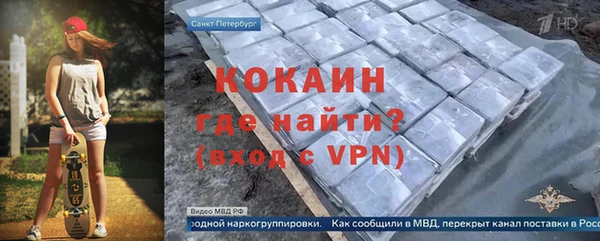шишки Арсеньев