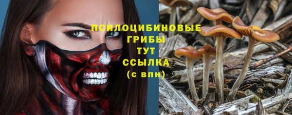 шишки Арсеньев