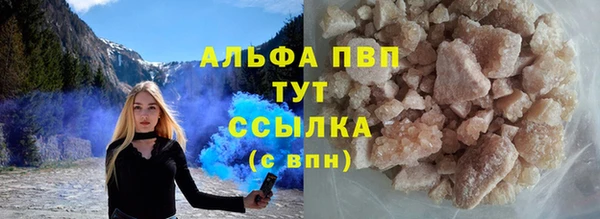 шишки Арсеньев